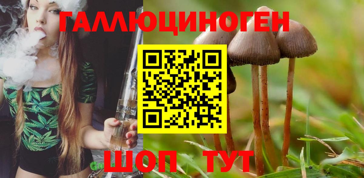 Глазов  Галлюциногенные грибы мухоморы  Псилоцибиновые грибы Psilocybe  Вход с VPN 